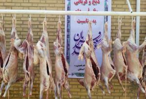 جمع آوری ۵۰۵ رأس دام قربانی طی عید سعید قربان در ایلام برای نیازمندان