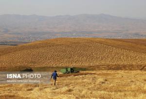 امکان شناسایی و تحلیل ماهواره‌ای سطح زیرکشت گندم در ۳ استان کشور