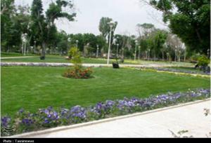 توسعه ۷.۳ درصدی فضای سبز درون شهری تهران