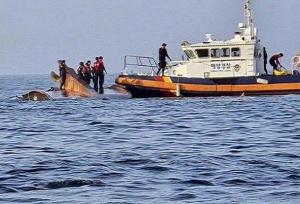 حادثه واژگونی قایق ماهیگیری در کره جنوبی