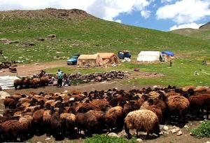 نغمه کوچ و فریاد سکوت، روایت زندگی و مشکلات عشایر فارس