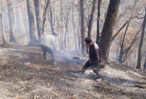 مهار و اطفاء چند آتش سوزی نقطه‌ای عرصه‌های منابع طبیعی گلستان