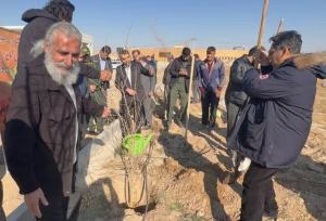 مدیرکل منابع طبیعی خراسان رضوی: طی ۲ سال گذشته ۴۰ میلیون نهال در خراسان رضوی تولید و کاشت شد