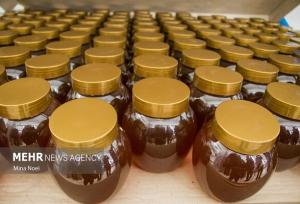 محمدزاده: خراسان شمالی سالانه هزار و ۲۵۰ تن عسل تولید می‌کند