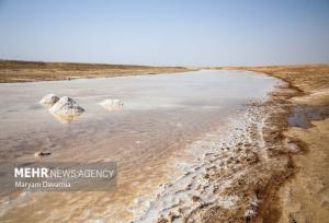 ورود فاضلاب شهری البرز عامل اصلی آلودگی رودخانه شور ملارد