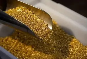 قیمت طلا به شدت ترمز برید