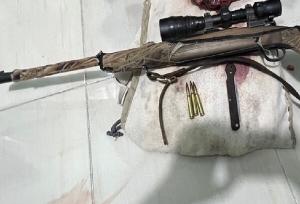 دستگیری ۳ متخلف شکار در هرمزگان