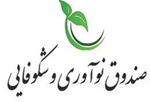 سرمایه صندوق نوآوری و شکوفایی به ۵۰ همت افزایش پیدا کرد