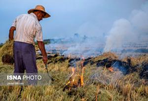 آتش زدن مزارع برنج، عامل نخست آلودگی اخیر هوای خوزستان/ تاکید به نیشکر و نفت برای کنترل آلایندگی
