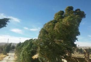 استمرار وزش باد شدید و گرد و خاک در خراسان جنوبی