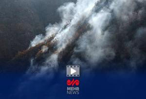 آخرین جزئیات حریق در جنگل الیت