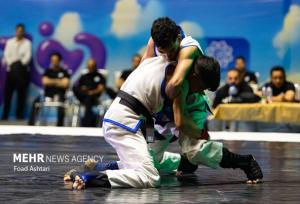 نفرات برتر مسابقات انتخابی تیم ملی MMA مشخص شدند