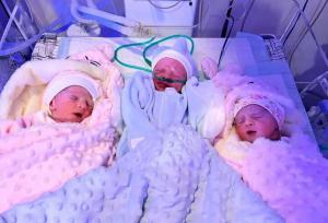 نخستین تولد سه‌قلوهای سالم با IVF در کردستان