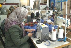 بازرسی اشتغال اتباع غیرمجاز در پردیس