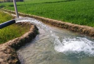 صادقی: ۸۵ درصد مصرف آب استان زنجان در بخش کشاورزی است