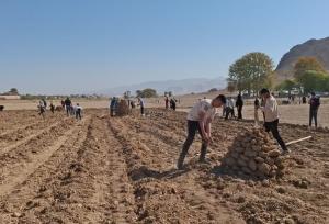 برگزاری جشنواره کلوخ‌پزی در محلات