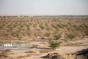 مدیرکل حفاظت محیط زیست استان زنجان: توسعه پایدار بدون رعایت الزامات زیست‌محیطی ممکن نیست