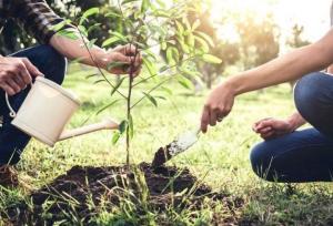 ۱۰۵ نهالستان دانش‌آموزی در استان سمنان ایجاد شد؛ نسل جدید «حافظ طبیعت»