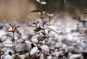 ورود سامانه بارشی به لرستان/ رگبار، رعدوبرق، تگرگ و برف در راه است