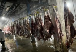 زاکانی: چرا قیمت گوشت 800 هزار تومان است؟