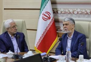 صالحی: طرح‌های نیمه‌تمام فرهنگی آیینه دق هنرمندان است