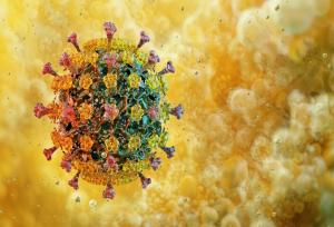 نیازی به تعطیلی فوری مدارس قزوین به‌دلیل آنفلوآنزا نیست