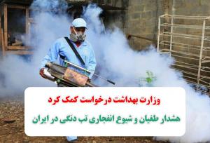 هشدار طغیان و شیوع انفجاری تب دنگی در ایران/ وزارت بهداشت درخواست کمک کرد