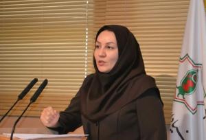 محمدی: موقعیت راهبردی ایران عامل شکل‌گیری وحدت ملی و مقاومت تاریخی است