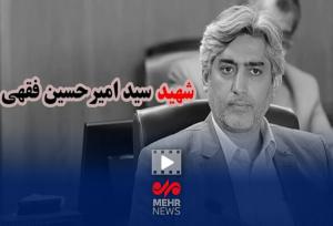 بدون تعارف با خانواده دانشمند هسته‌ای، شهید امیرحسین فقهی
