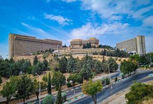 ۱۹ پژوهشگر دانشگاه شیراز در شمار پژوهشگران پراستناد یک‌ درصد برتر دنیا