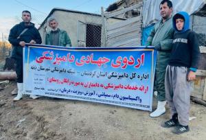 واکسیناسیون ۵۱۸ راس دام سبک و سنگین علیه بیماری تب برفکی در بانه