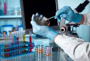 رتبه سوم دانشگاه تهران در حوزه ژنتیک پس از ۲ دانشگاه علوم پزشکی