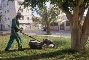 اجرای عملیات هرس و بازپیرایی فضای سبز شهری در خارگ