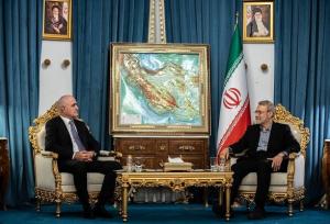 دیدار و گفت‌وگوی لاریجانی با معاون نخست وزیر جمهوری آذربایجان