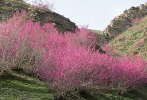 بازدید استاندار ایلام از طرح های گردشگری استان