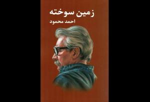 ویژگی آثار سال‌های اغاز جنگ چیست؟؛ «زمین سوخته» صدای اعتراض نویسنده