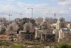 تداوم تحرکات شهرک نشینان علیه فلسطینی‌ها در کرانه باختری