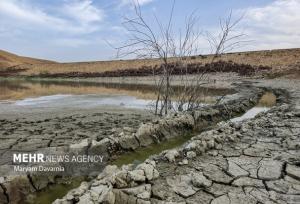 خشکسالی و تغییرات اقلیمی؛ تهدیدات جدی برای کشاورزی و زیست‌بوم کردستان