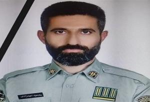 دو ضارب محیط بان شهید شهمرادی دستگیر شدند