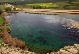 انسداد ۱۲۳ حلقه چاه‌غیرمجاز اطراف تالاب «هشیلان» در یک روز