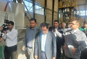 وزیر صمت از طرح های صنعتی شهرستان چرداول بازدید کرد
