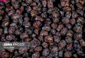تلاش برای افزایش سهم ارزش صادرات محصولات خرما در فارس