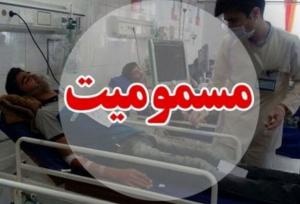 مصرف قارچ وحشی ۹ شهروند سلماسی را راهی بیمارستان کرد