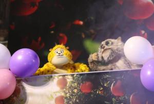 «سفر یوز به شهر انار» شادی و آموزش را در مدارس ساوه گسترش می‌دهد