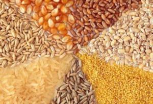 ضوابط جدید واردات نهاده‌های دامی اعلام شد