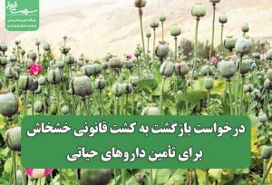 درخواست بازگشت به کشت قانونی خشخاش برای تأمین داروهای حیاتی