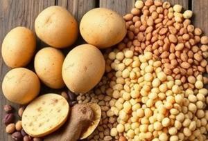 ابلاغ ممنوعیت صادرات حبوبات به گمرکات کشور
