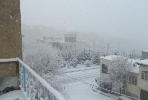 تهران زیر بارش برف کوتاه؛ پردیس و دماوند سفیدپوش شدند