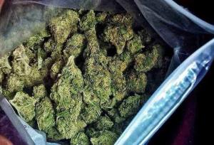 دستگیری موادفروش سابقه‌دار با ۱۲۳ کیلوگرم «گل» در فرحزاد