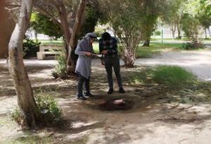 سرپرست مرکز بهداشت بوشهر: پایش مستمر پشه آئدس انجام می‌شود